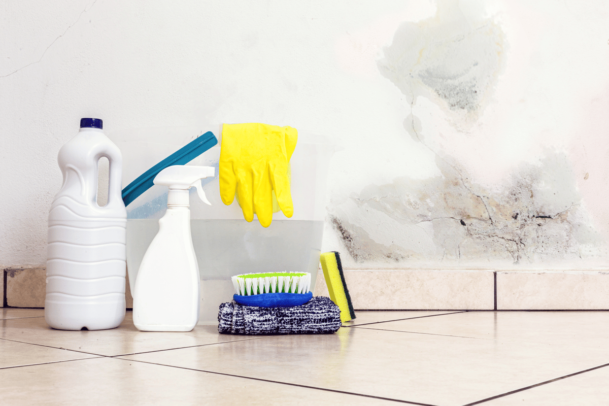 Astuce pour nettoyer la moisissure des murs