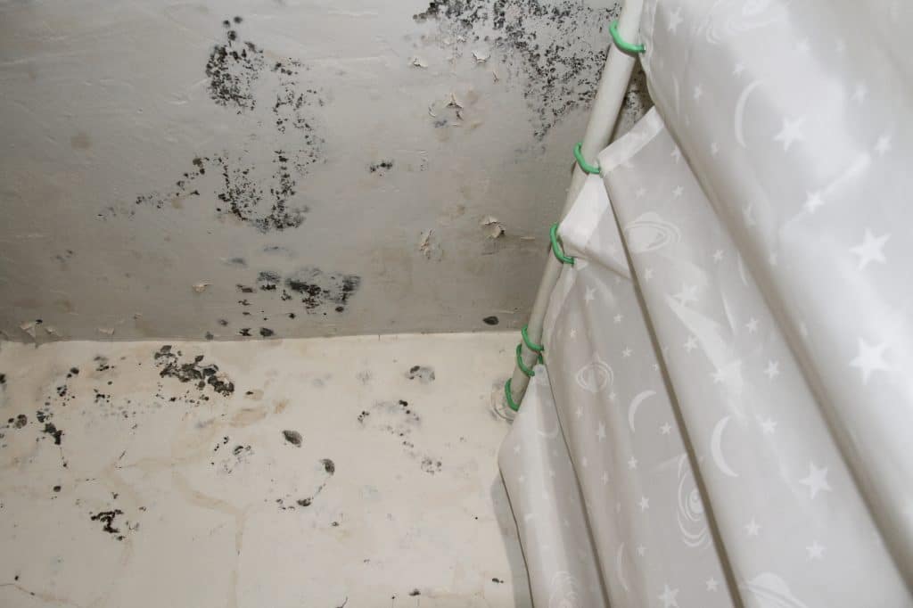 Humidité au plafond : Comment transformer votre maison en un havre de santé ?